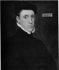 Henry FitzAlan (1538–1556), Lord Maltravers