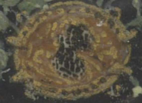 The Yale Miniature (detail)