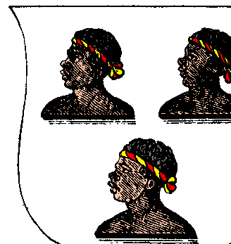 Argent, three moor's heads couped at the shoulders proper filleted or and gules--TANNER